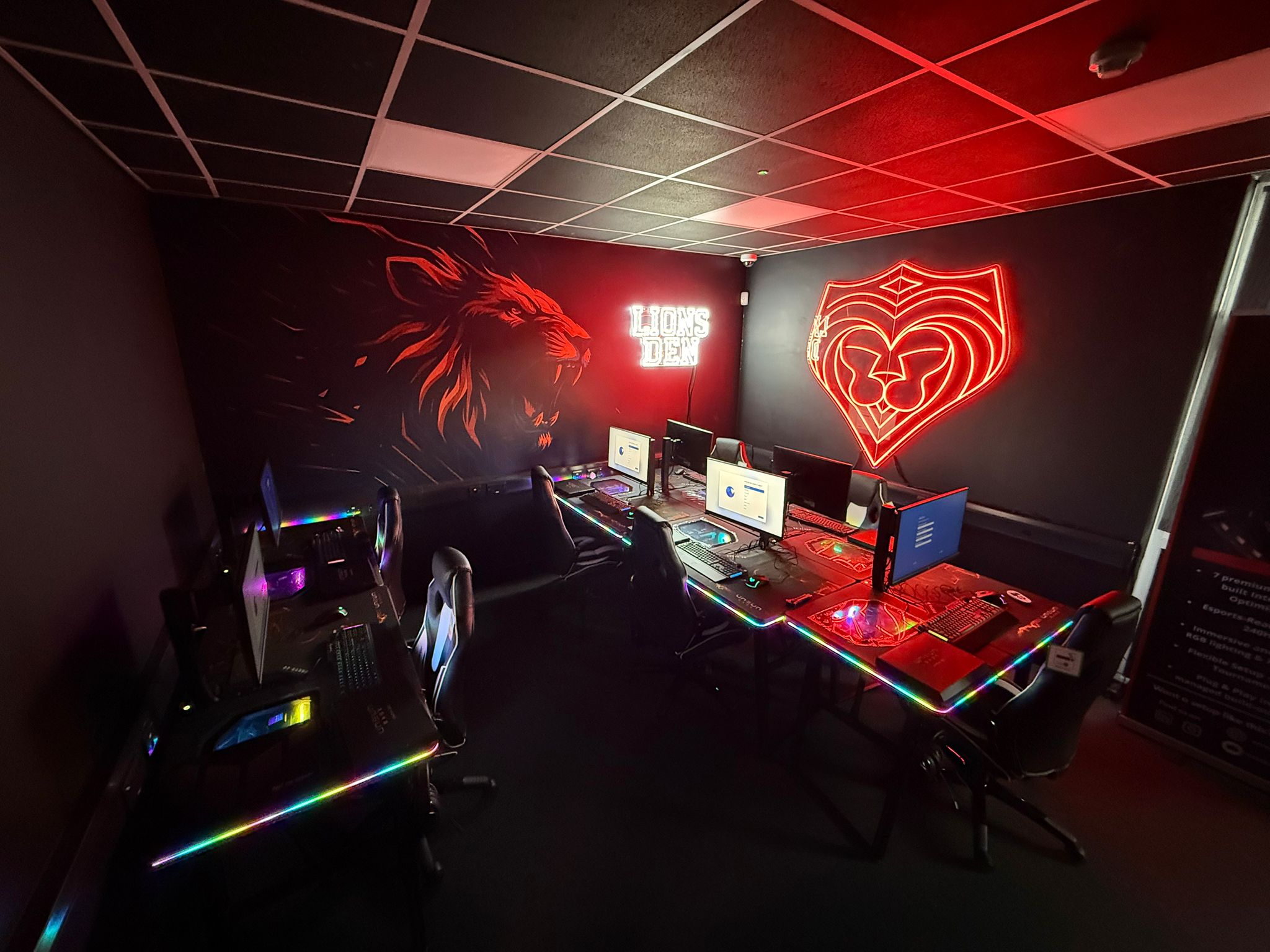 Esports Gamer Bundle