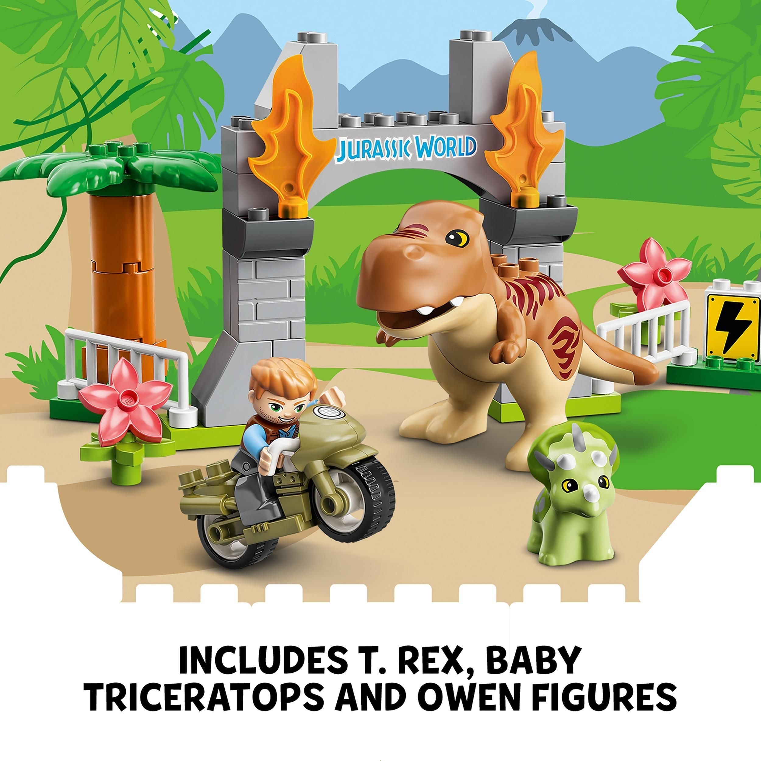 LEGO® DUPLO T. rex and Triceratops Dinosaur Toy 10939