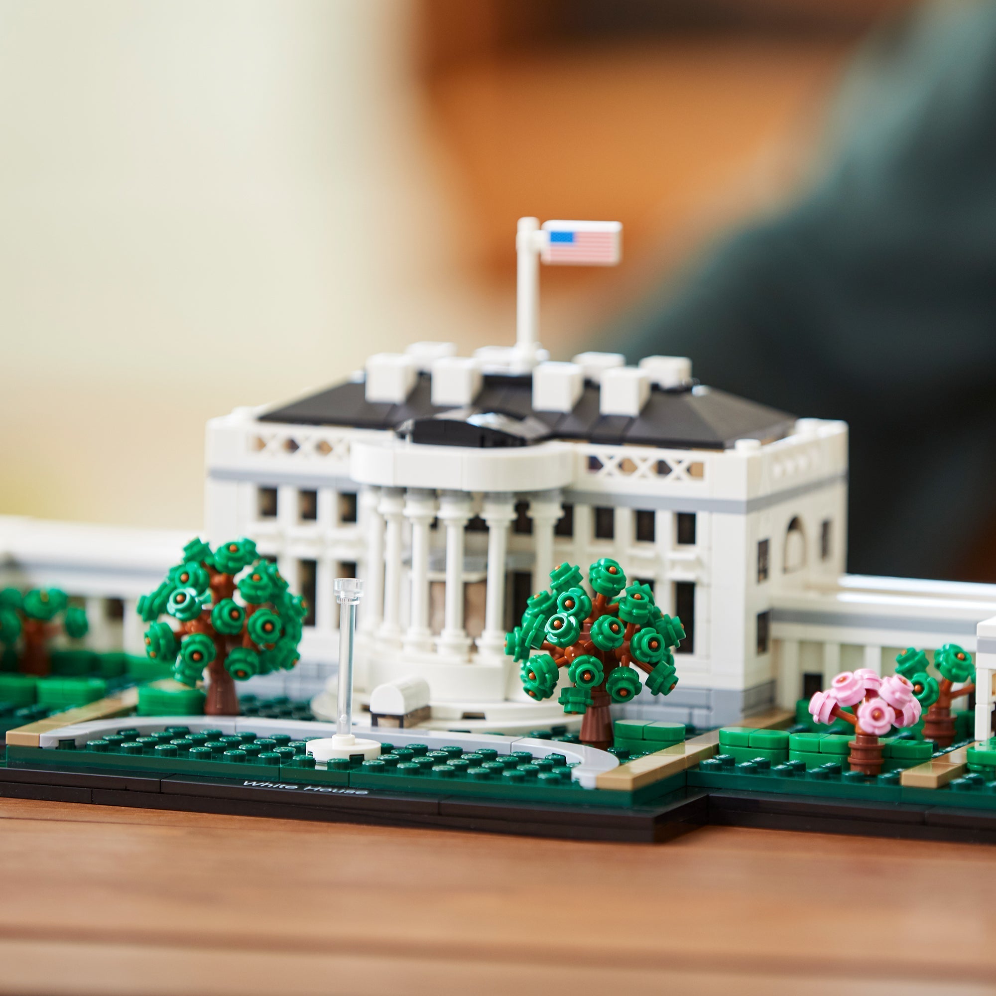 LEGO® Architecture The White House Building Set 21054