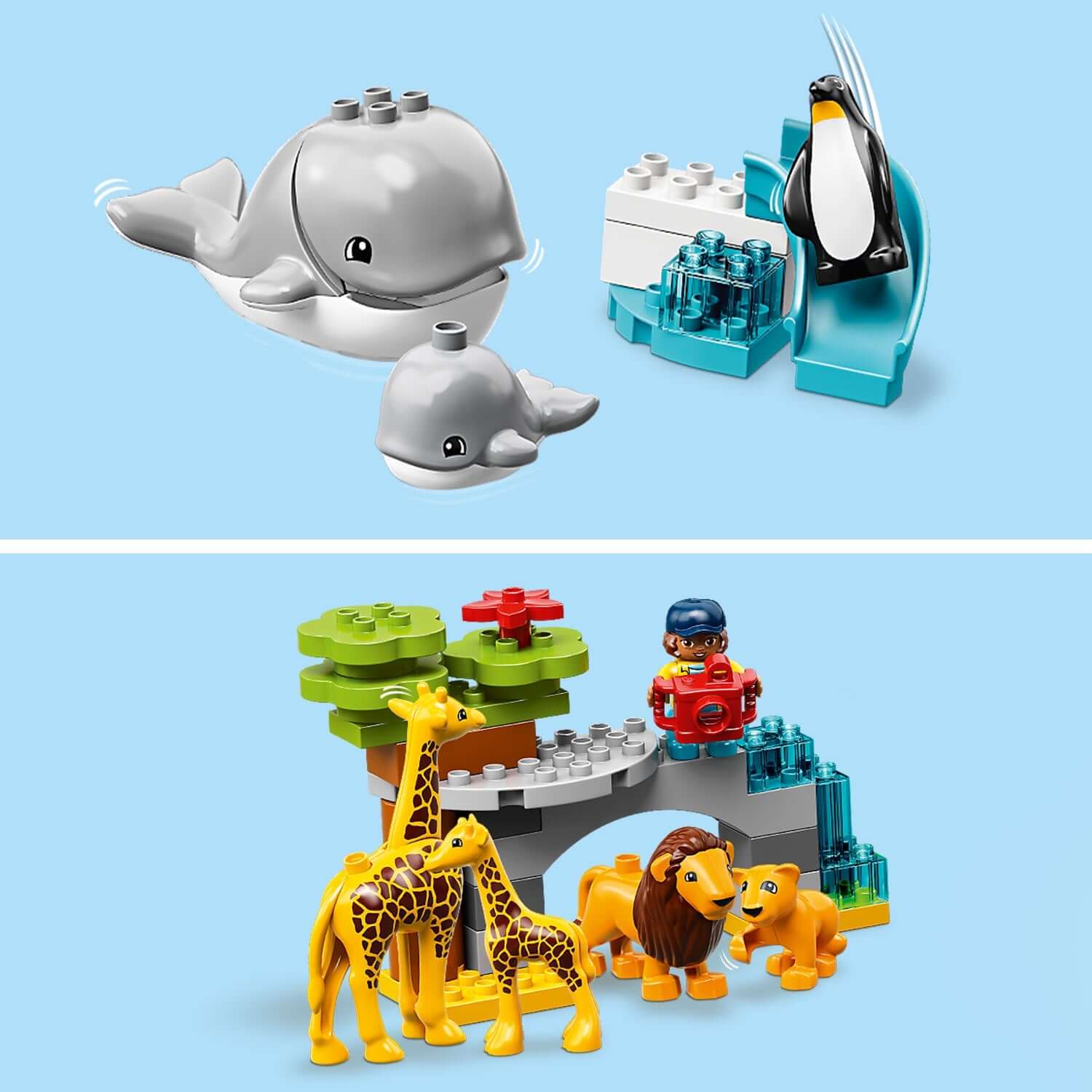 LEGO® DUPLO Town World Animals 10907 featuring whales, penguins, giraffes, and lions for toddlers. Fun buildable environments.