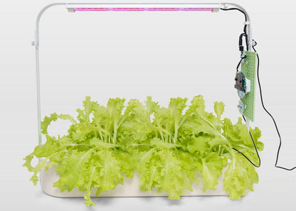 Smart Hydroponics